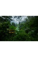 Metal Detail Curved Dining Chair | Morpho By Tomorrowland Volita | Oroatrade.com