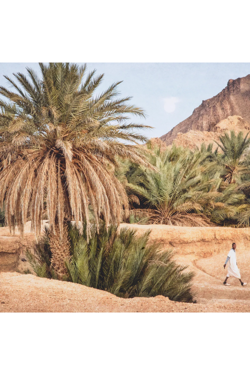 Exotic Landscapes Art Print | Eichholtz Moroccan Oasis | Oroatrade.com