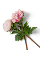 Artificial Blooms Bouquet (48pcs) | Eichholtz Peonies | Oroatrade.com