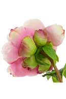 Artificial Blooms Bouquet (48pcs) | Eichholtz Peonies | Oroatrade.com
