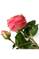 Artificial Garden Roses Bouquet (72pcs) | Eichholtz Roses | Oroatrade.com