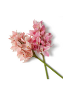 Pink Artificial Orchids Bouquet (36pcs) | Eichholtz Cymbidium | Oroatrade.com