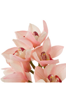Pink Artificial Orchids Bouquet (36pcs) | Eichholtz Cymbidium | Oroatrade.com