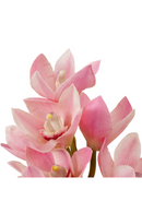 Pink Artificial Orchids Bouquet (36pcs) | Eichholtz Cymbidium | Oroatrade.com