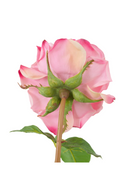 Three-Toned Faux Roses (72) | Eichholtz | Oroatrade.com