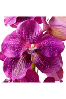 Artificial Orchids Bouquet (24pcs) | Eichholtz Vanda | Oroatrade.com