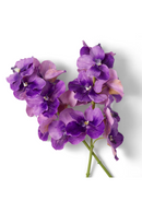 Artificial Orchids Bouquet (24pcs) | Eichholtz Vanda | Oroatrade.com