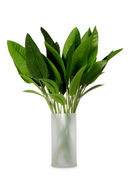 Artificial Green Leaves (36) | Eichholtz Strelitzia | Oroatrade.com