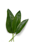 Artificial Green Leaves (36) | Eichholtz Strelitzia | Oroatrade.com