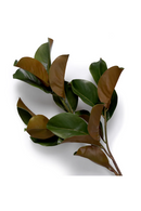 Glossy Green Foliage (24) | Eichholtz Bundle of Magnolia Leaves | Oroatrade.com
