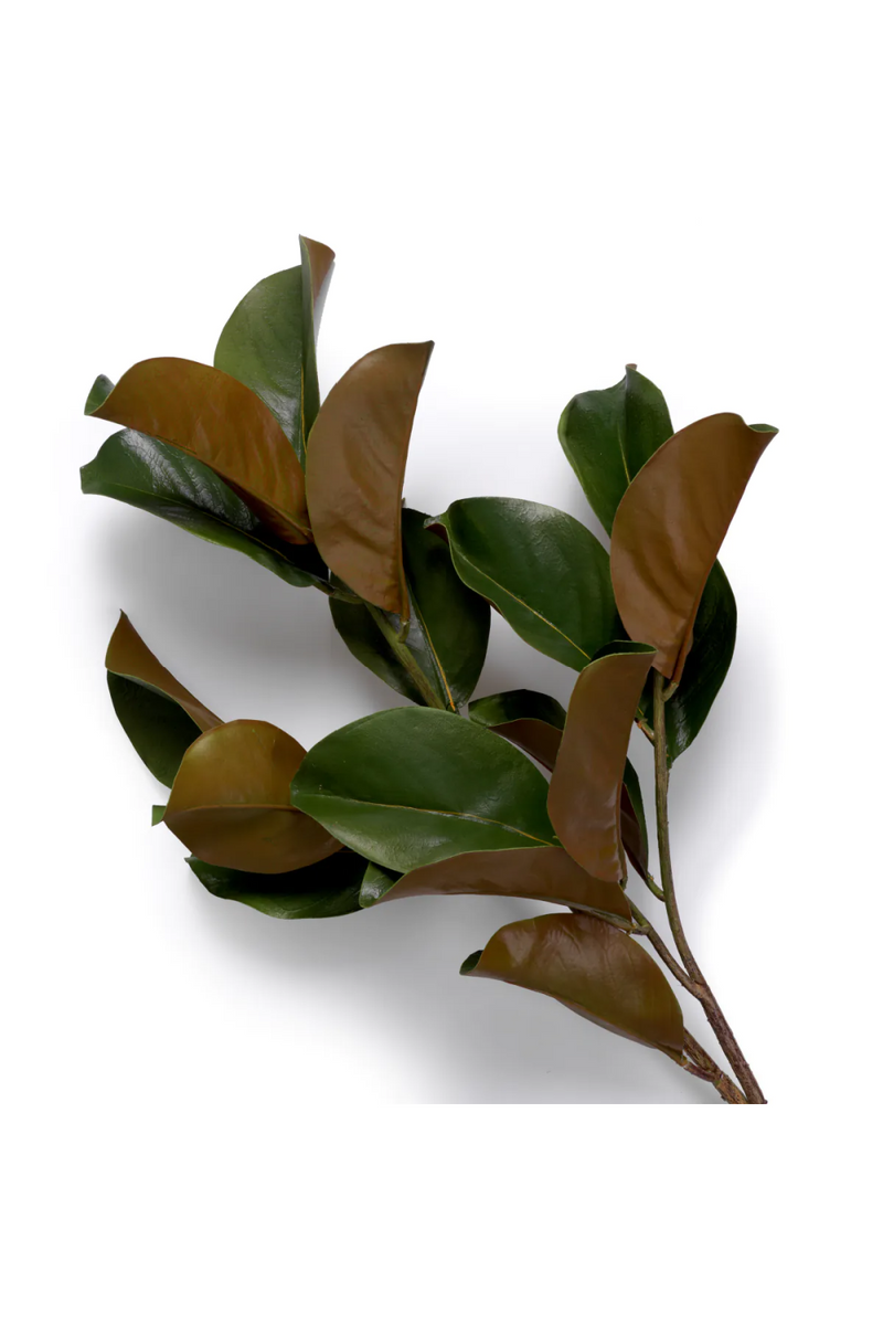 Glossy Green Foliage (24) | Eichholtz Bundle of Magnolia Leaves | Oroatrade.com