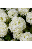 Snowball Artificial Flowers Bouquet (36pcs) | Eichholtz Hydrangeas | Oroatrade.com