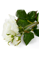 Three-Toned Faux Roses (72) | Eichholtz | Oroatrade.com