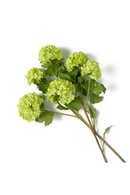 Snowball Artificial Flowers Bouquet (36pcs) | Eichholtz Hydrangeas | Oroatrade.com