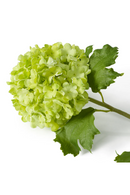 Snowball Artificial Flowers Bouquet (36pcs) | Eichholtz Hydrangeas | Oroatrade.com