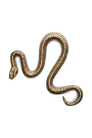 Vintage Brass Carved Object | Eichholtz Serpent | Oroatrade.com