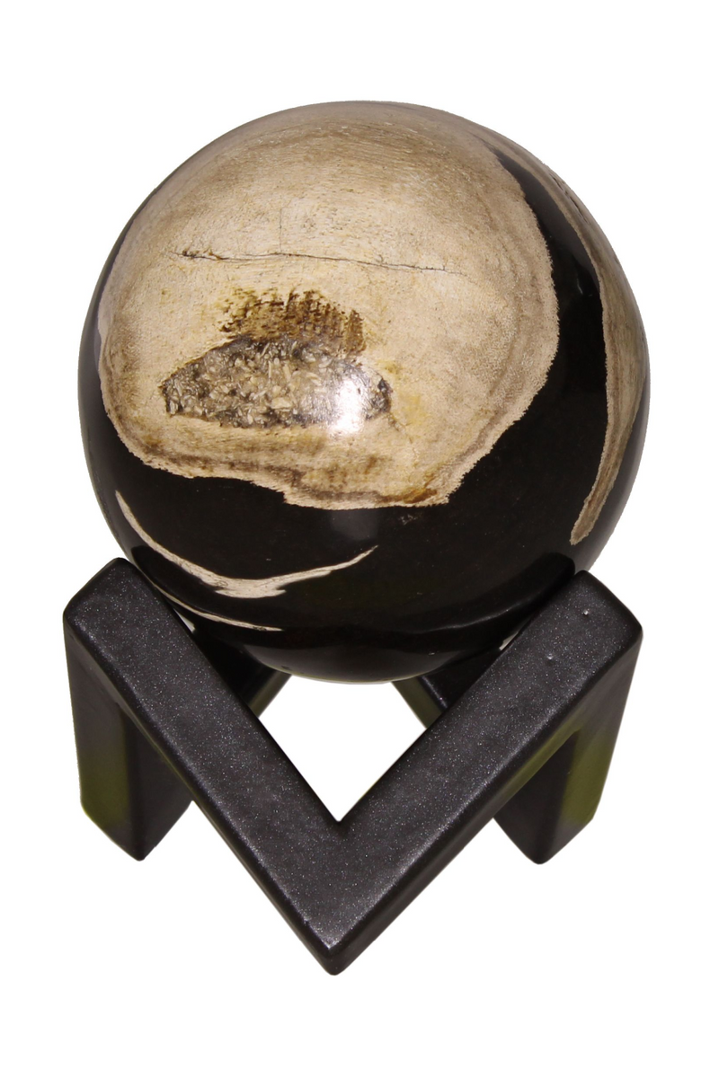 Petrified Wood Decorative Sphere | Andrew Martin | Oroatrade.com