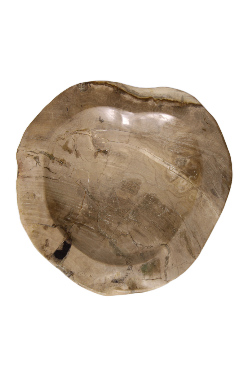 Natural Petrified Wood Tray | Andrew Martin | Oroatrade.com