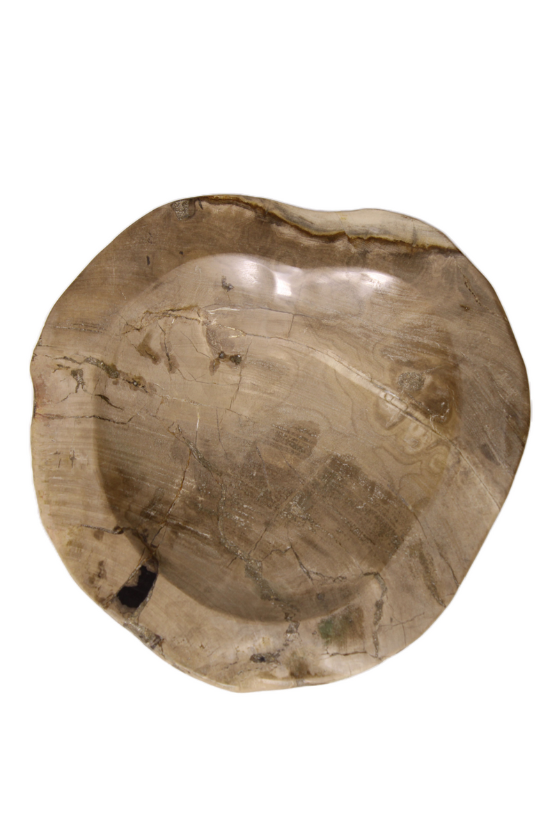 Natural Petrified Wood Tray | Andrew Martin | Oroatrade.com