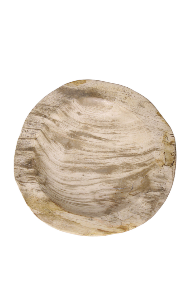 Natural Petrified Wood Tray | Andrew Martin | Oroatrade.com