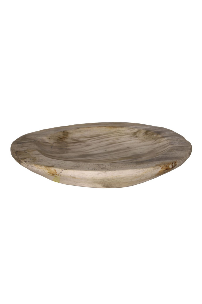 Natural Petrified Wood Tray | Andrew Martin | Oroatrade.com