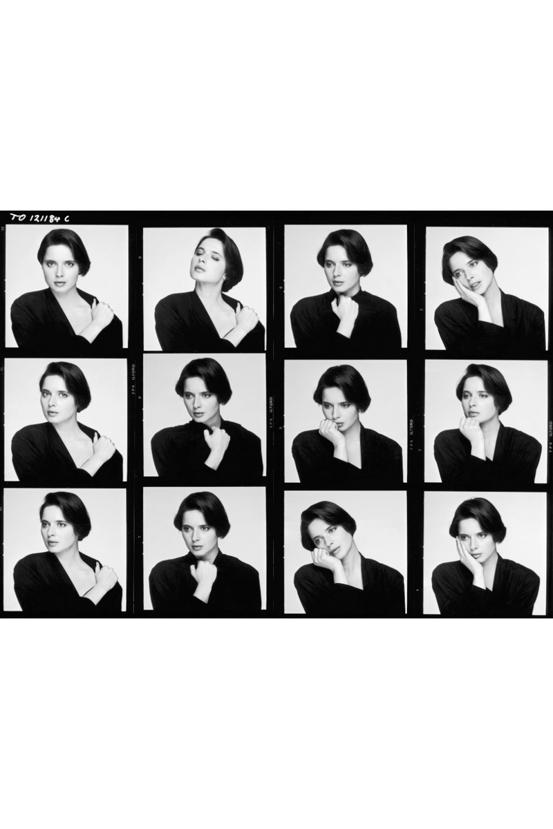 Isabella Rossellini Photographic Artwork | Andrew Martin Deep In Thought | Oroatrade.com