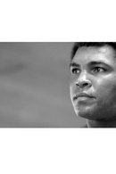American Boxer Photographic Artwork | Andrew Martin Stare Down  Oroatrade.com