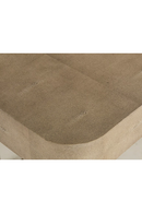 1-Drawer Shagreen Desk | Andrew Martin Jacques | Oroatrade.com