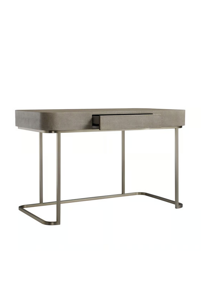 1-Drawer Shagreen Desk | Andrew Martin Jacques | Oroatrade.com