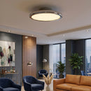 Frosted Round Ceiling Lamp | Andrew Martin Dot
