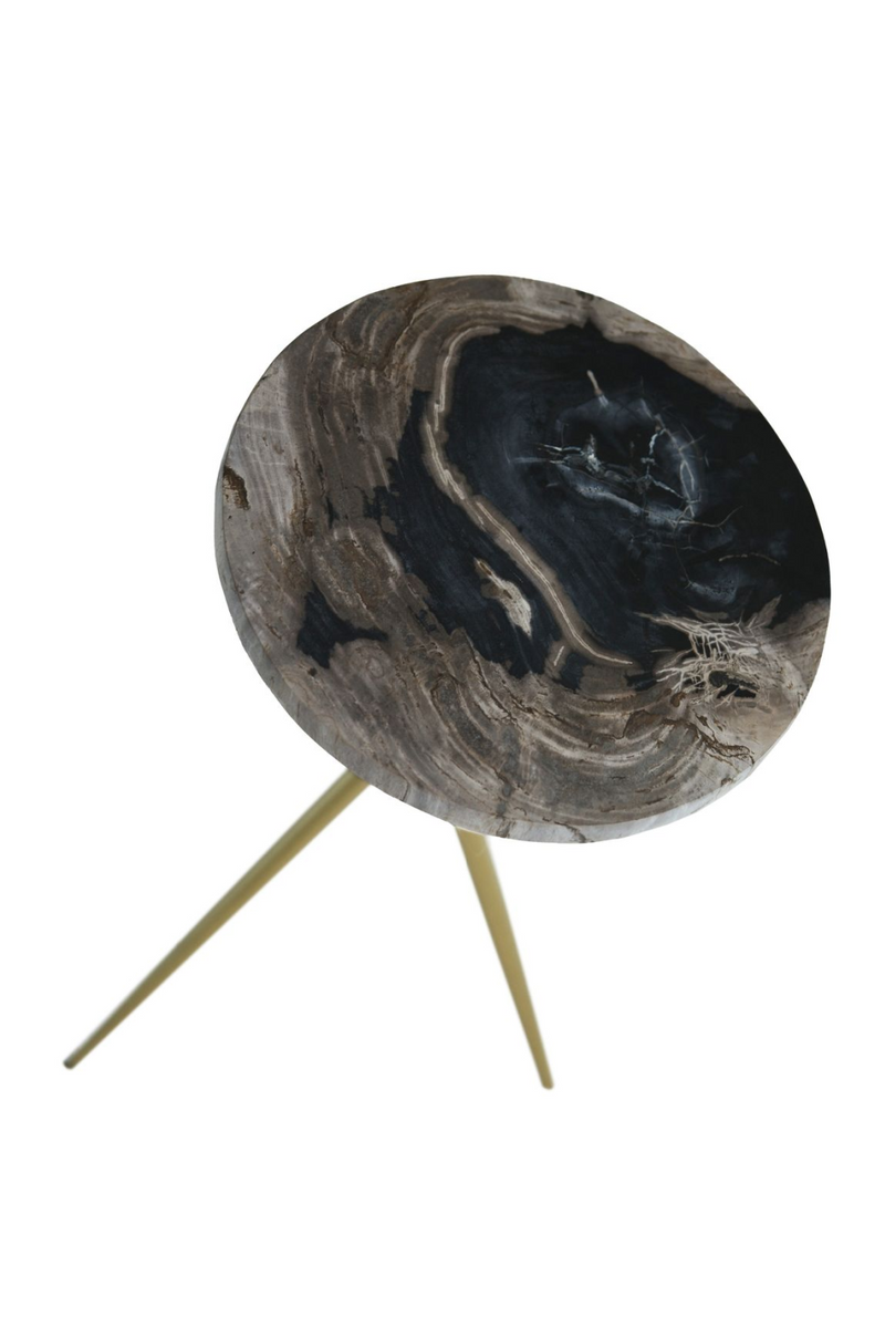 Petrified Wood Tripod Side Table | Andrew Martin Epiphany | Oroatrade.com