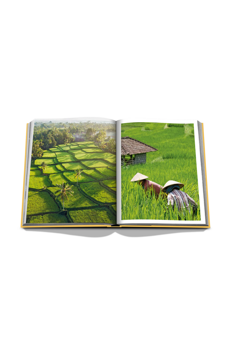 Tropical Travel Hardcover Book | Assouline Bali Mystique | Oroatrade.com