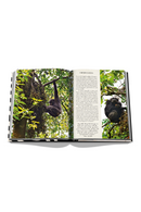 African Adventures: The Greatest Safari on Earth Book | Assouline | Oroatrade.com
