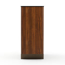 Smoked Walnut 2-Door Cabinet | Caracole Altura