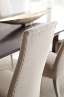 Modern Minimalist Dining Chair | Caracole Socially Acceptable | Oroatrade.com