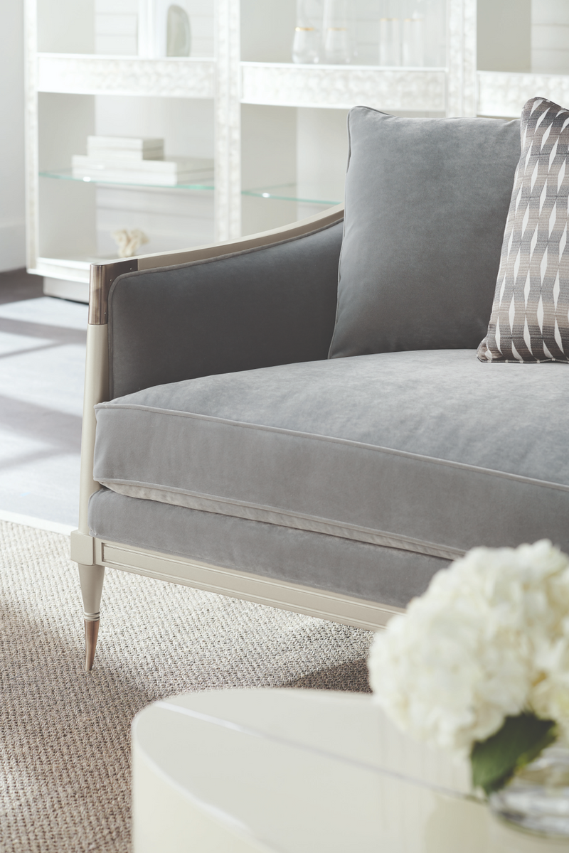 Gray Sofa With Cushions | Caracole Splash of Flash | Oroatrade.com