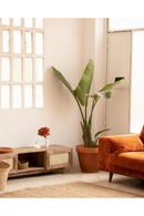 Rattan 2-Door Media Unit | Decowood Frida | Oroatrade.com