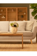 Angular Solid Wood Coffee Table | Decowood Telva | Oroatrade.com