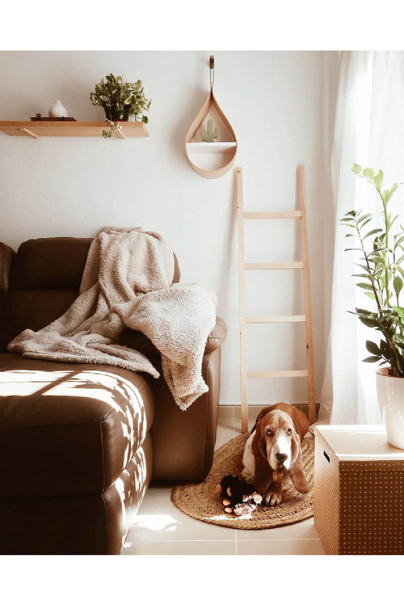 Solid Pine Wood Ladder | Decowood Stairs | Oroatrade.com