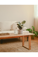 Solid Pine Coffee Table | Decowood Bielsa | Oroatrade.com