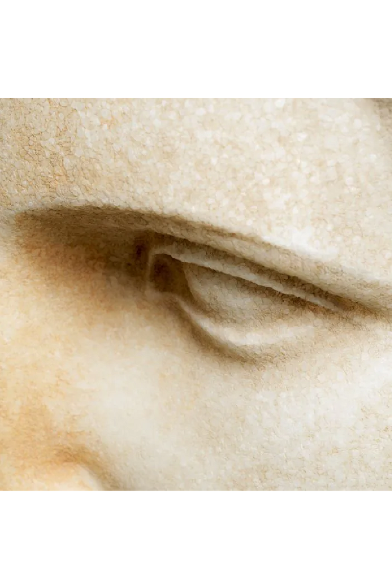 Roman Head Sculpture | Met x Eichholtz Bust of a Youth | Oroatrade.com