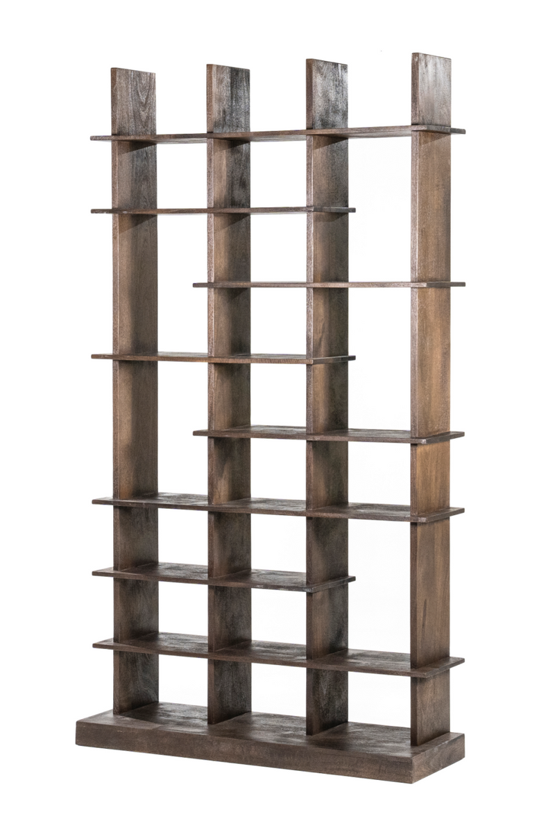 Lacquered Mango Wood Bookcase | Eleonora Oliver | Oroatrade.com