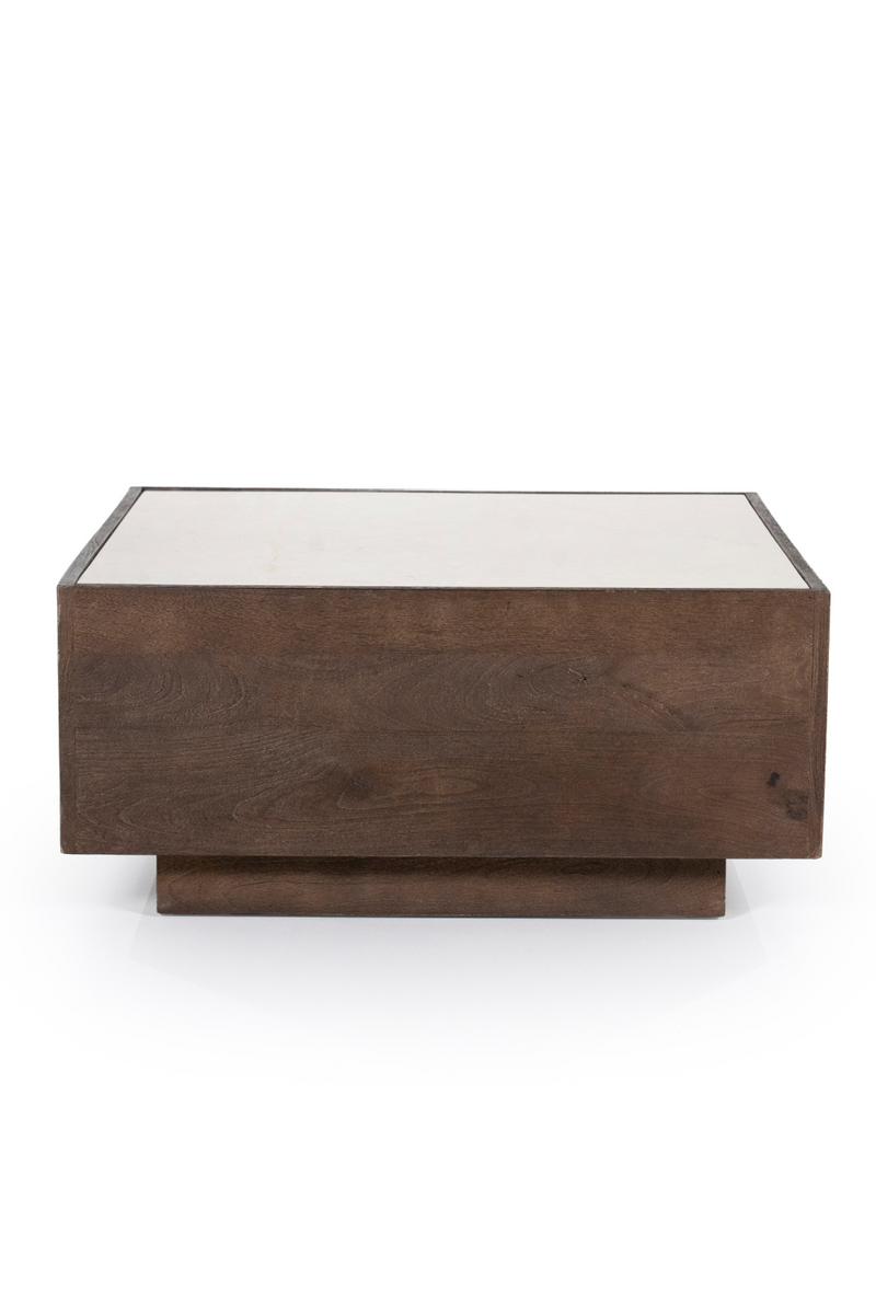 Mango Wood Box Coffee Table | Eleonora Hazel | Oroatrade.com