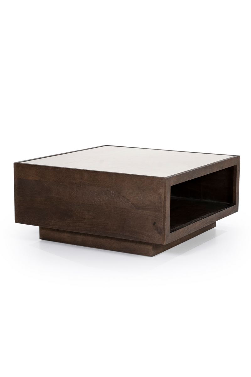 Mango Wood Box Coffee Table | Eleonora Hazel | Oroatrade.com