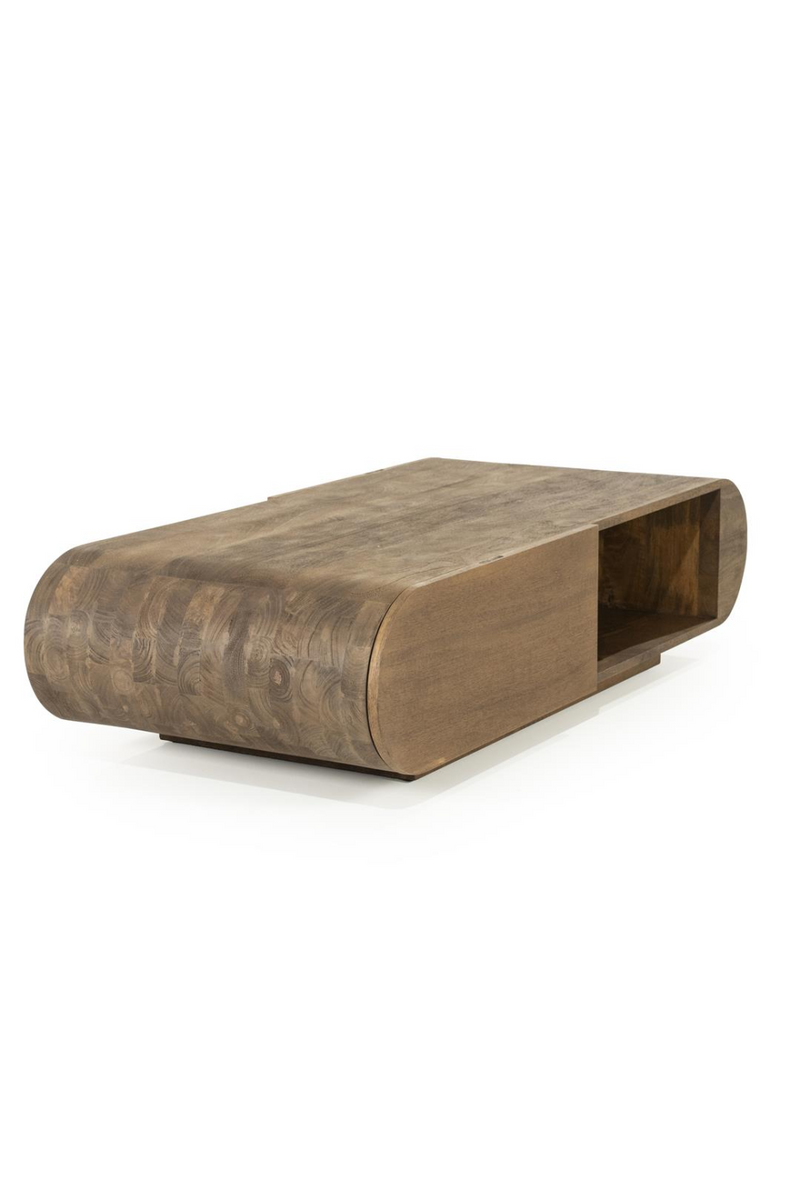 Mango Wood Storage Coffee Table | Eleonora King
