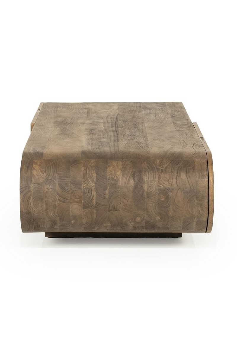 Mango Wood Storage Coffee Table | Eleonora King