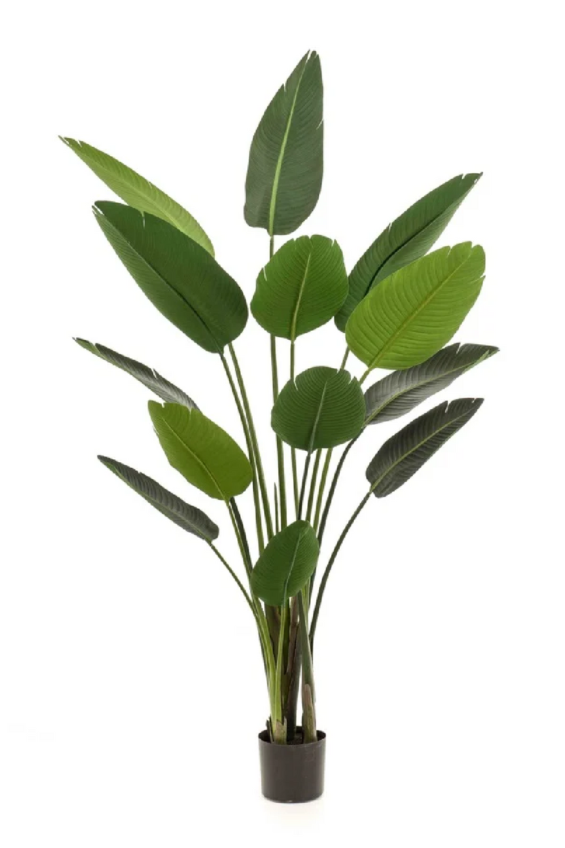 Potted Faux Houseplant Set (2) | Emerald Strelitzia | Oroatrade.com