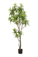 Artificial Potted Green Foliage Set (2) | Emerald Dracaena | Oroatrade.com