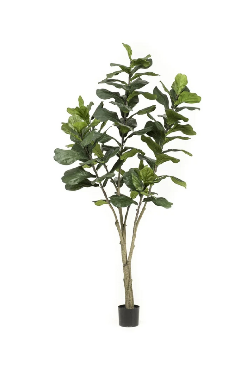 Artificial Fiddle Leaf Plants (2) XL | Emerald Ficus Lyrata | Oroatrade.com