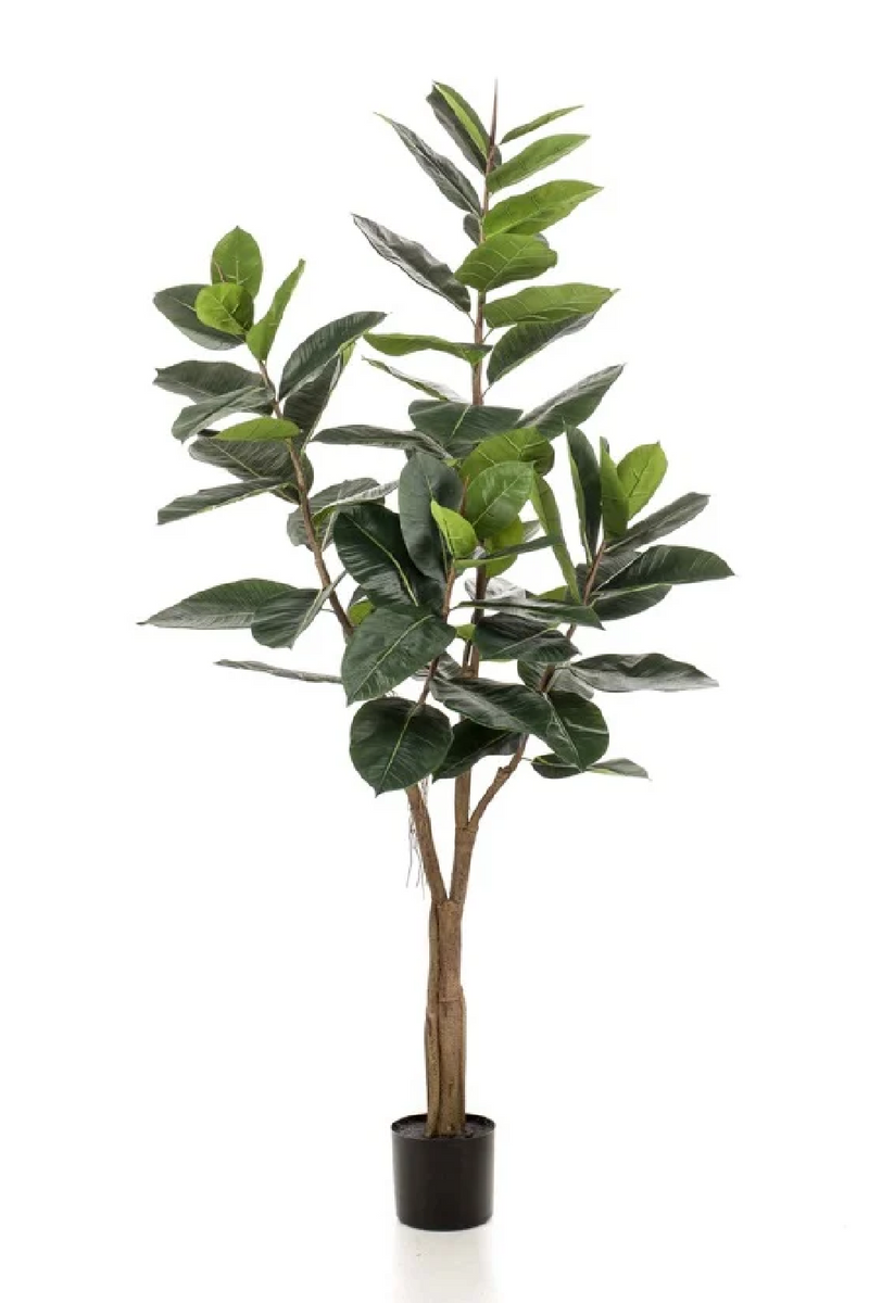 Potted Faux Tree Set (2) | Emerald Ficus Elastica | Oroatrade.com
